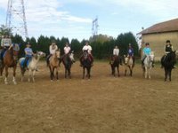 Cours collectifs sur chevaux ou poneys adaptés au niveau équestre